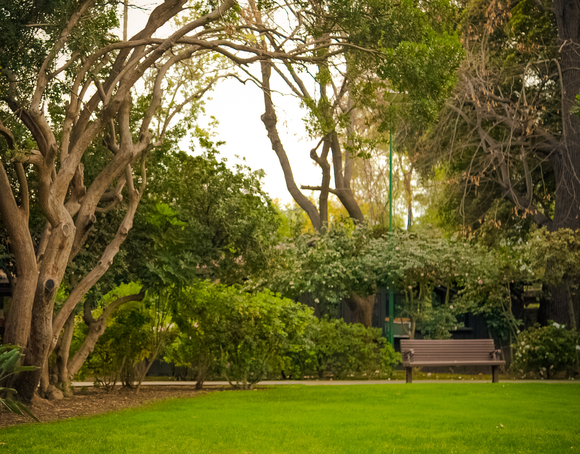 Signature Healthcare Services | Las Encinas Hospital